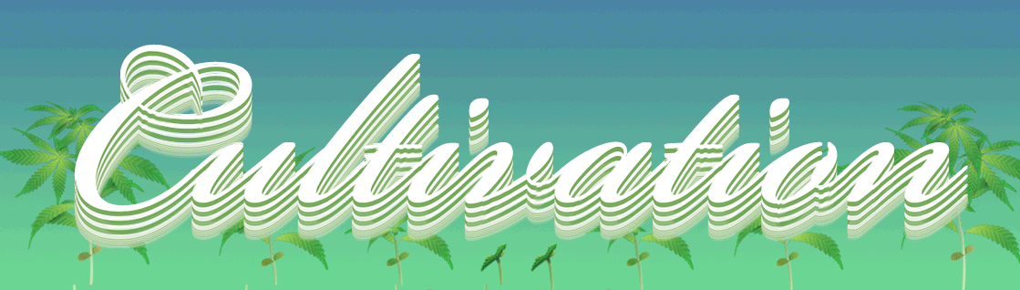 cultivation_hubspot_hed_220303